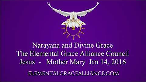 Elemental Grace Alliance – Council